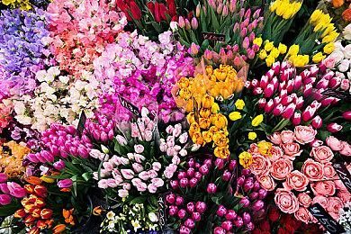 《街头霸王6》金伯莉角色指南 6月2日发售